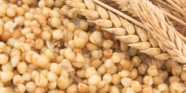 Grano cotto. ? Depositphotos