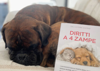 Ohm, il boxer di Aurora, con il libro di Salvatore Cappai “Diritti a 4 zampe”