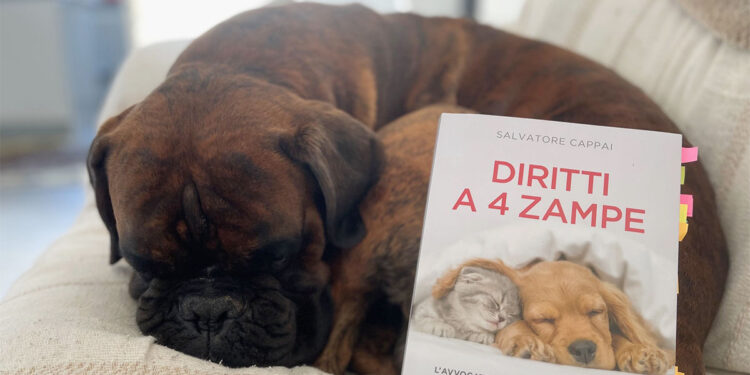 Ohm, il boxer di Aurora, con il libro di Salvatore Cappai “Diritti a 4 zampe”