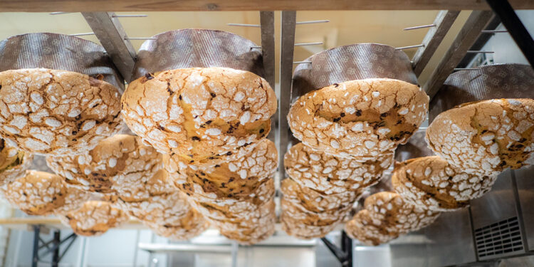 Panettoni artigianali. ? Depositphotos