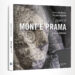 "I Giganti di Mont'e Prama" di Raimondo Zucca e Giacomo Paglietti