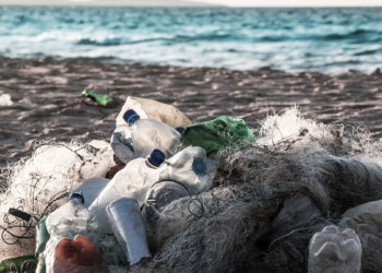 Rifiuti mare spiaggia. ? Depositphotos