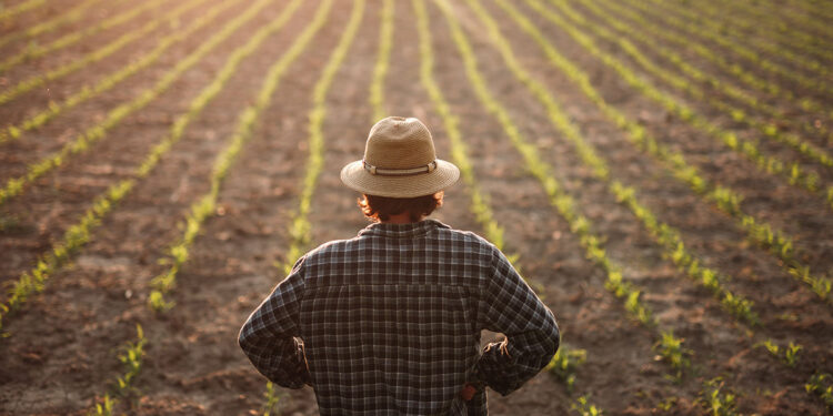 Agricoltore. ? Depositphotos