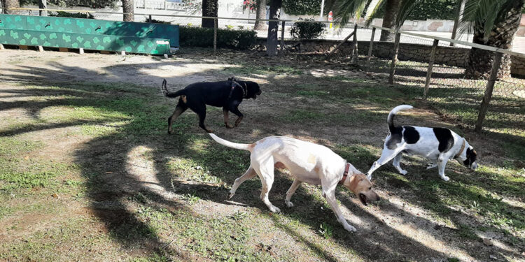 Alghero, area di sgambamento nel quartiere San Michele