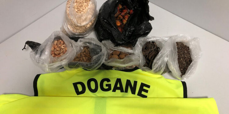 Alghero, sequestrati 2,5 kg di semi non identificabili e privi di certificazione