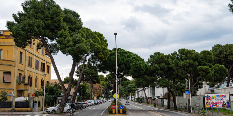 Cagliari - Viale Diaz