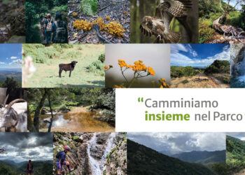 Camminiamo insieme nel Parco - Parco Naturale di Gutturu Mannu