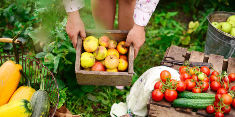 Frutta, verdura, km 0. 📷 Depositphotos