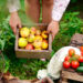 Frutta, verdura, km 0. ? Depositphotos