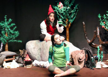 “Il Bosco di Carta” del Teatro Instabile e Teatrop