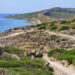 L'area archeologica di Tharros. 📷 Depositphotos