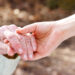 Caregiver. ? Depositphotos