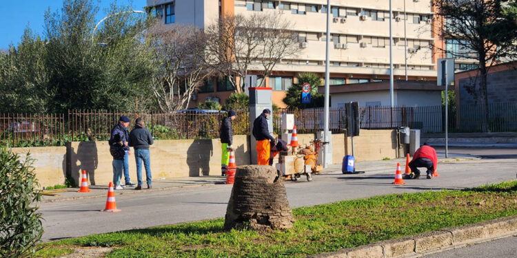 Mercato settimanale di viale Sardegna - via Corsica ad Alghero