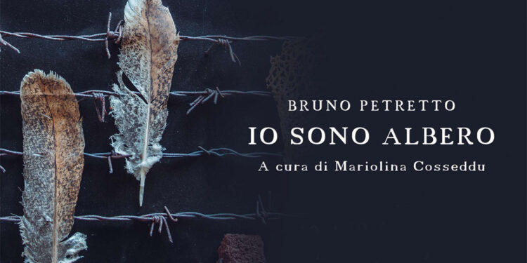 Bruno Petretto, mostra "Io sono albero"