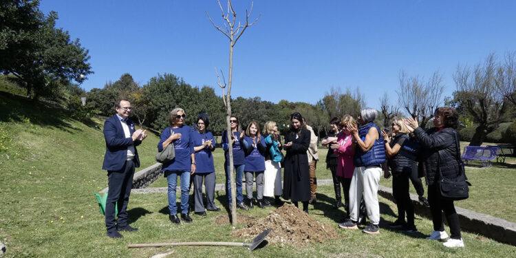 Cagliari, Giornata nazionale del Fiocchetto Lilla: la messa a dimora della jacaranda