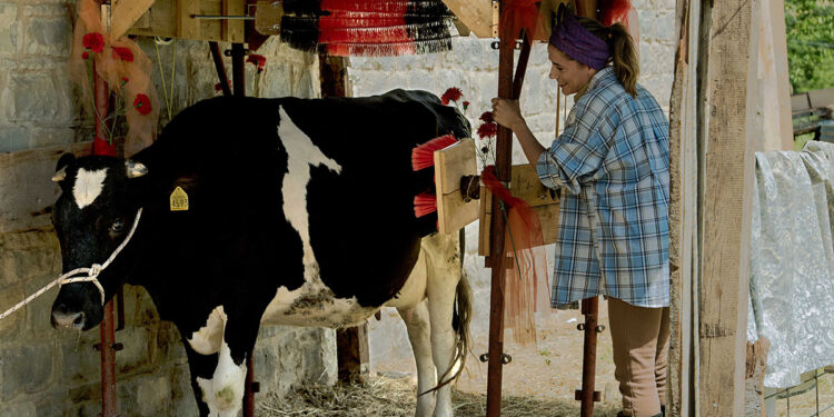 Evelyne tra le nuvole