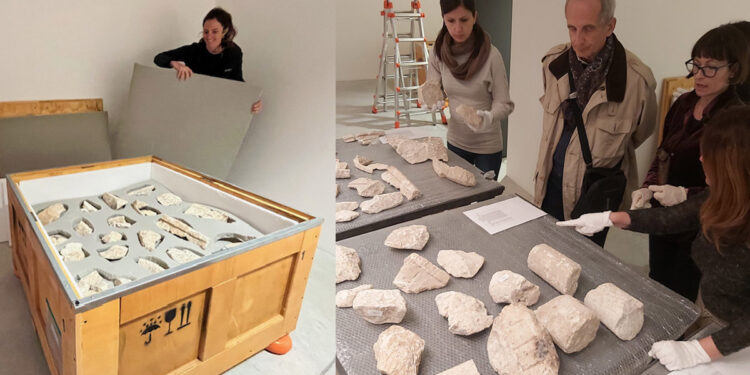 Frammenti scavi Mont'e Prama: apertura delle casse al Centro Restauro di Li Punti