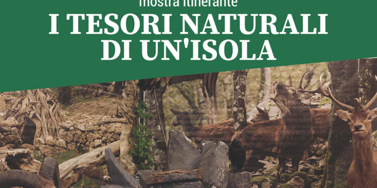 Oristano, mostra "Sardegna foreste, i tesori naturali di un’isola"