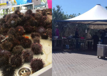 Quartu, sequestro chiosco abusivo e ricci di mare