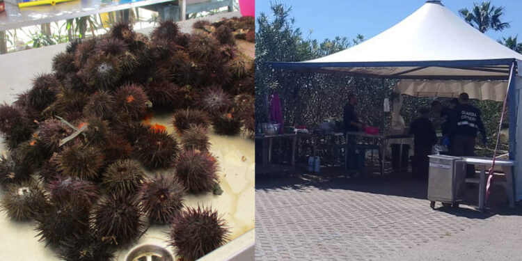 Quartu, sequestro chiosco abusivo e ricci di mare