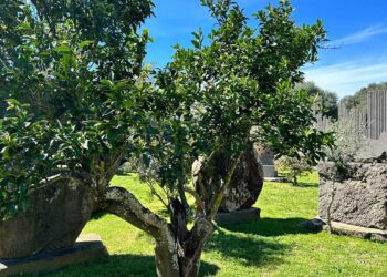San Sperate, le Pietre Sonore di Pinuccio Sciola