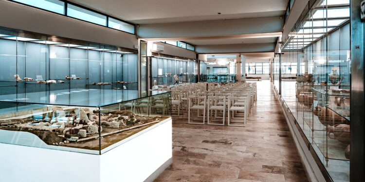 Antiquarium Turritano, Sala Conferenze