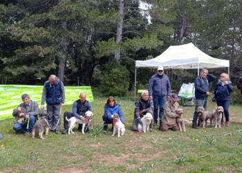 dell'Associazione Tartufai della Sardegna