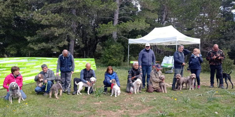 dell'Associazione Tartufai della Sardegna