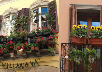 "Balconi fioriti a Villanova"
