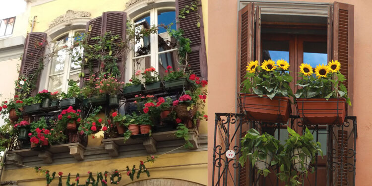"Balconi fioriti a Villanova"