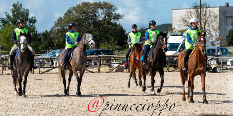 Endurance, Tanca Regia, III tappa della Coppa Sardegna II Tappa Trofeo Agris