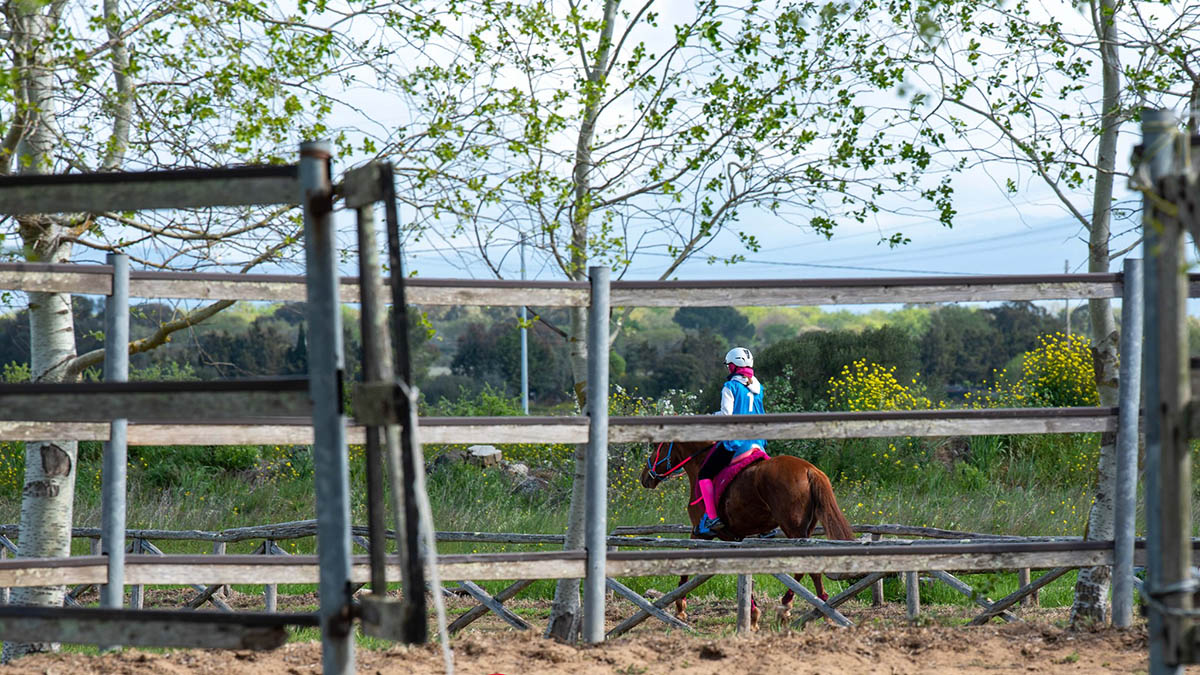 Endurance, Tanca Regia, III tappa della Coppa Sardegna II Tappa Trofeo Agris. ? Pinuccio Oppo