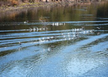 Lago di Baratz. ? Simone Lunardi