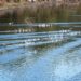 Lago di Baratz. ? Simone Lunardi