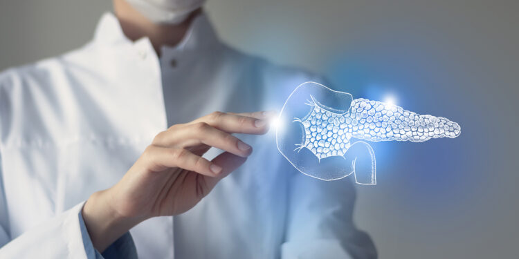 Pancreas. ? Depositphotos