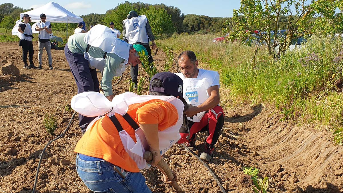 Ambiente Mare Italia: piantumazione a Sardara