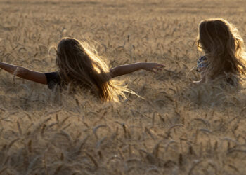 Visioni Italiane bando