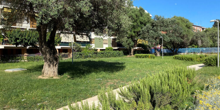 Uno spazio verde a Cagliari
