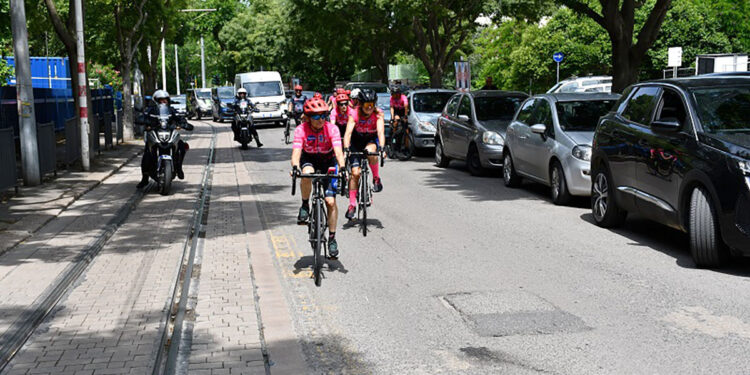 Arrivo delle Pink Flamingos a Sassari