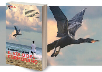 "Il volo del cormorano" di Pier Bruno Cosso