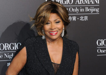 Tina Turner. ? Depositphotos