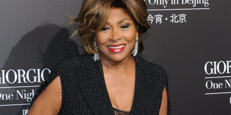 Tina Turner. ? Depositphotos