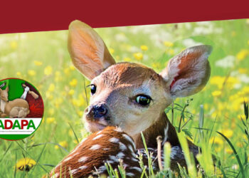 CADAPA raccolta firme per l'abolizione della caccia