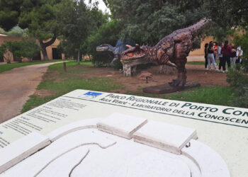 Esposizione "AlgueRex" a Casa Gioiosa