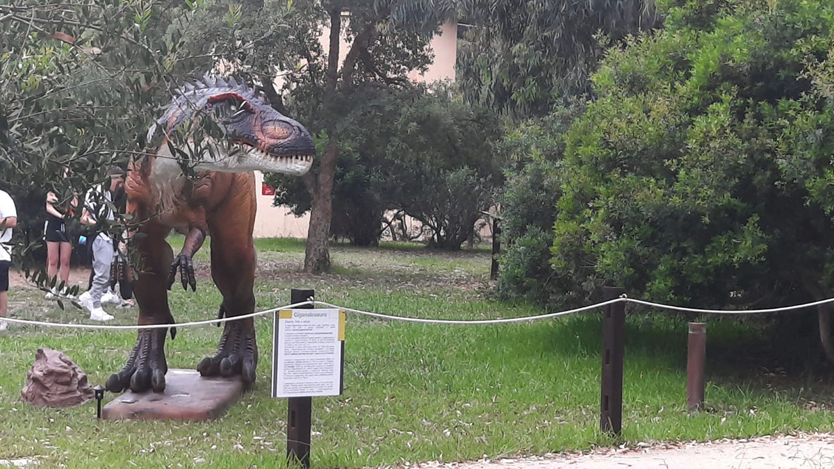 Esposizione "AlgueRex" a Casa Gioiosa