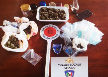 Sequestro marijuana - Polizia locale di Sassari