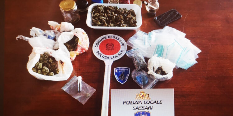 Sequestro marijuana - Polizia locale di Sassari