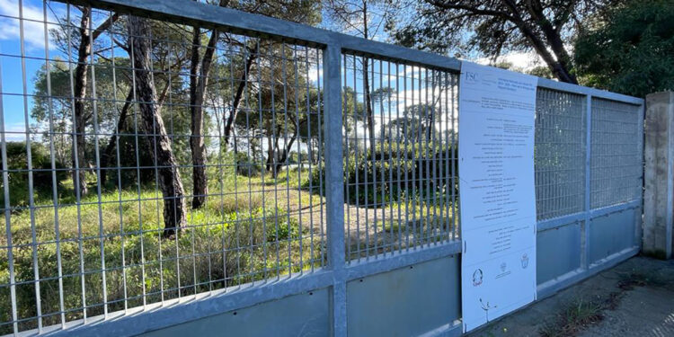 Pineta dell’Arenosu ad Alghero