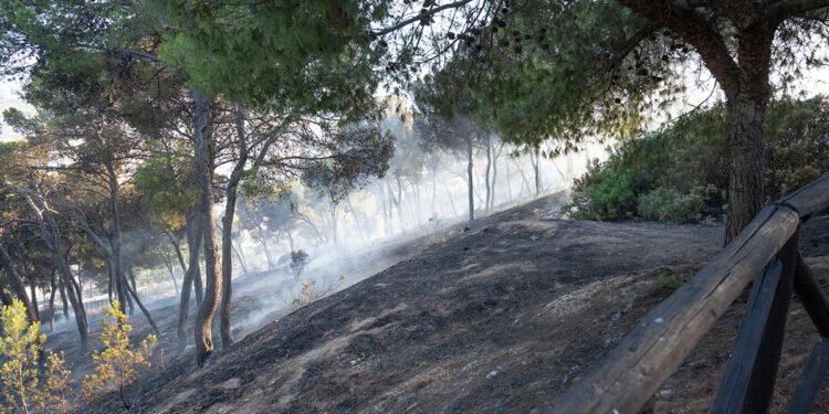 Cagliari, il Colle di San Michele minacciato dal fuoco