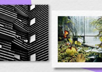 "Città Cubo" di Chiara Coppola e "Il giardino" di Emanuela Meloni